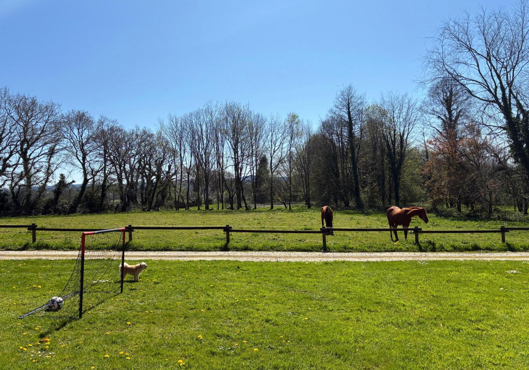 Gite Milin A Sizun Hebergement Confortable Pour 7 Pers Exterior foto